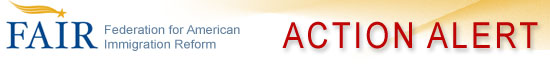 Federation for American Immigration Reform Action Alert